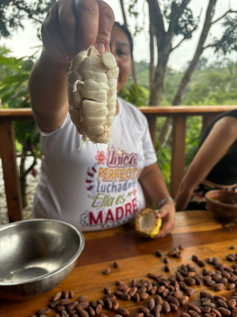 Vrouwencirkel_cacao_ceremonie_roden_drenthe1