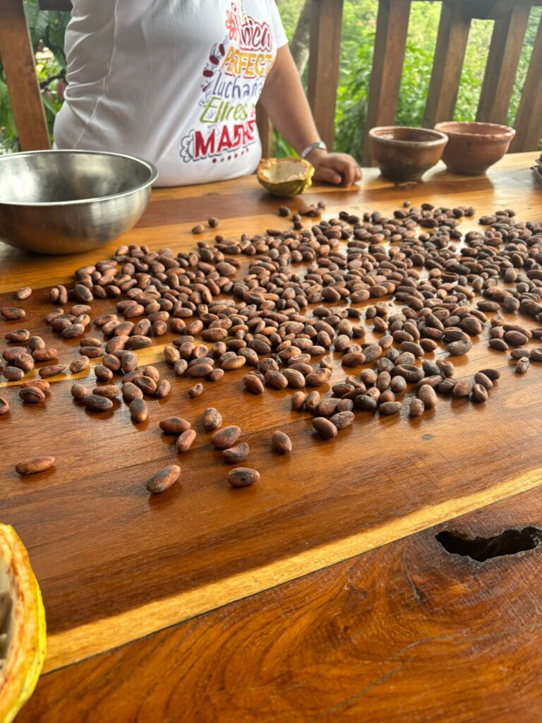 Vrouwencirkel_cacao_ceremonie_roden_drenthe1